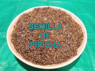pipicha-and-potato-seed