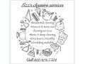 lizzs-cleaning-services-small-0
