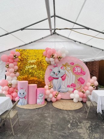 balloons-rental-big-0